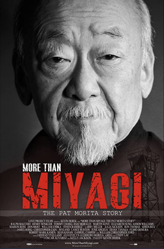 1. More Than Miyagi Promotional Poster