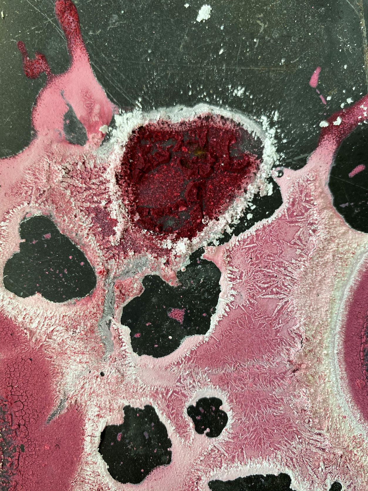 Amenaalyousef From The Land 2019 2021 Copy