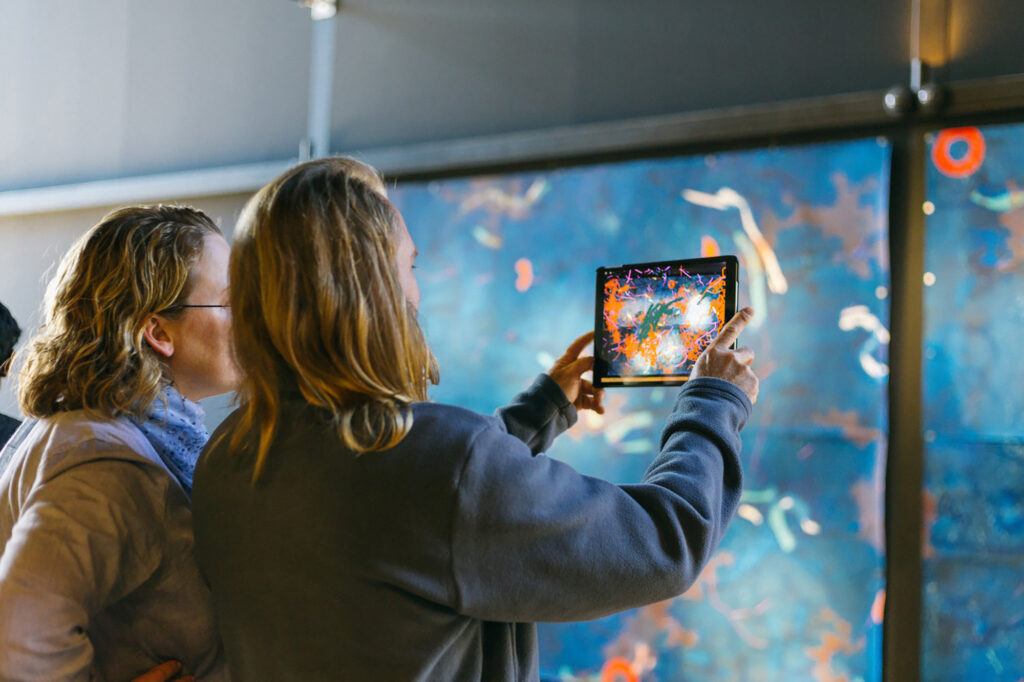 Web Eden Labs Art And Design