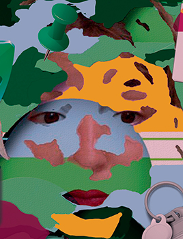 Domestic Affairs Tout 268x350