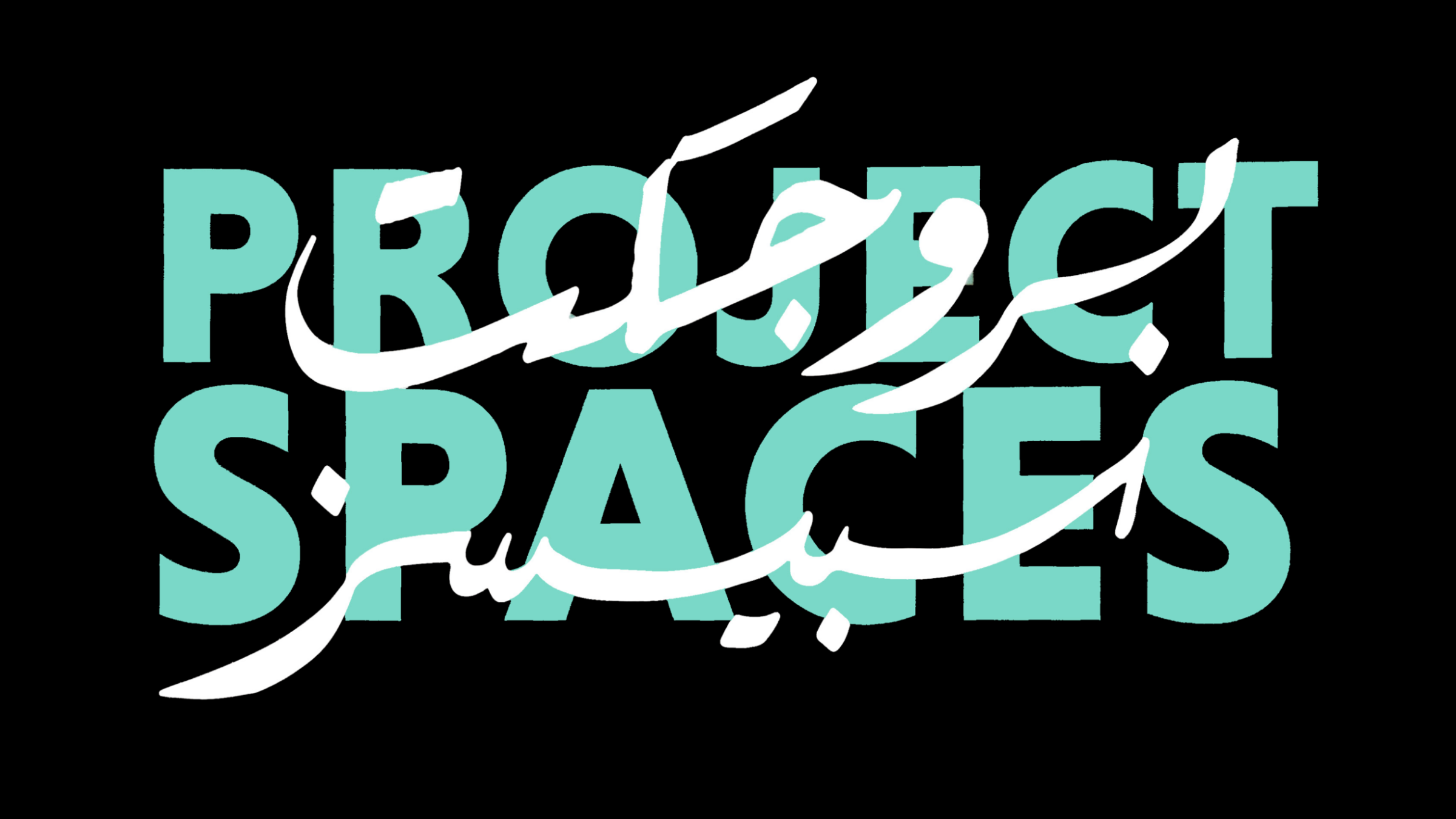 Project Spaces Logo