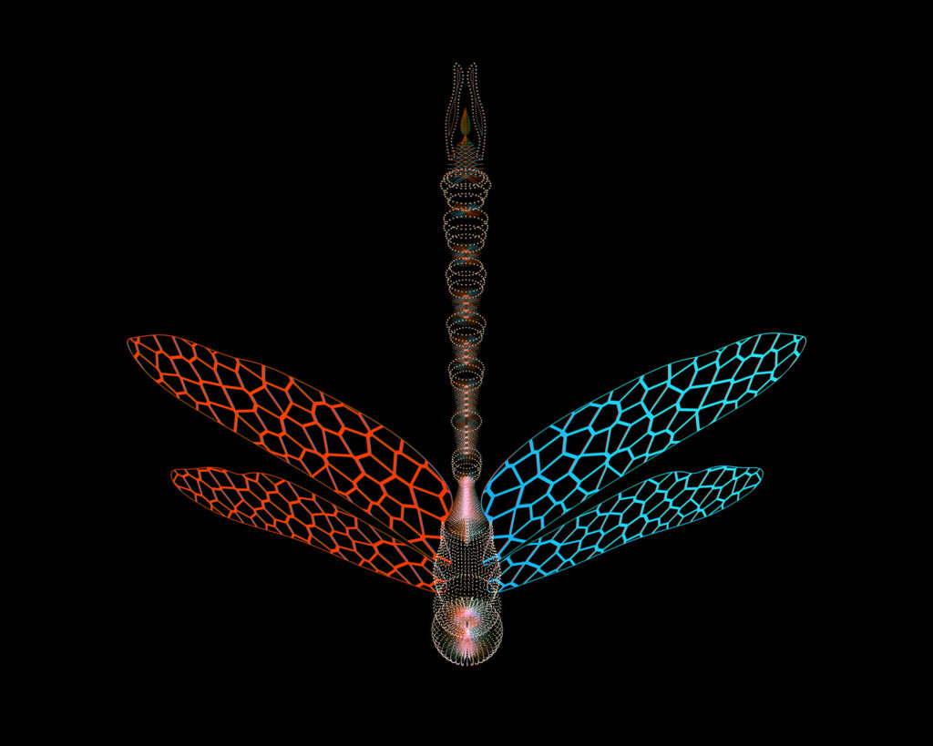  Project Spaces Parametric Paintings 