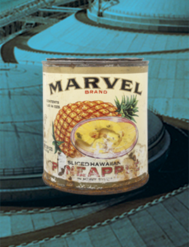 Strangewonders Webtout 268x350