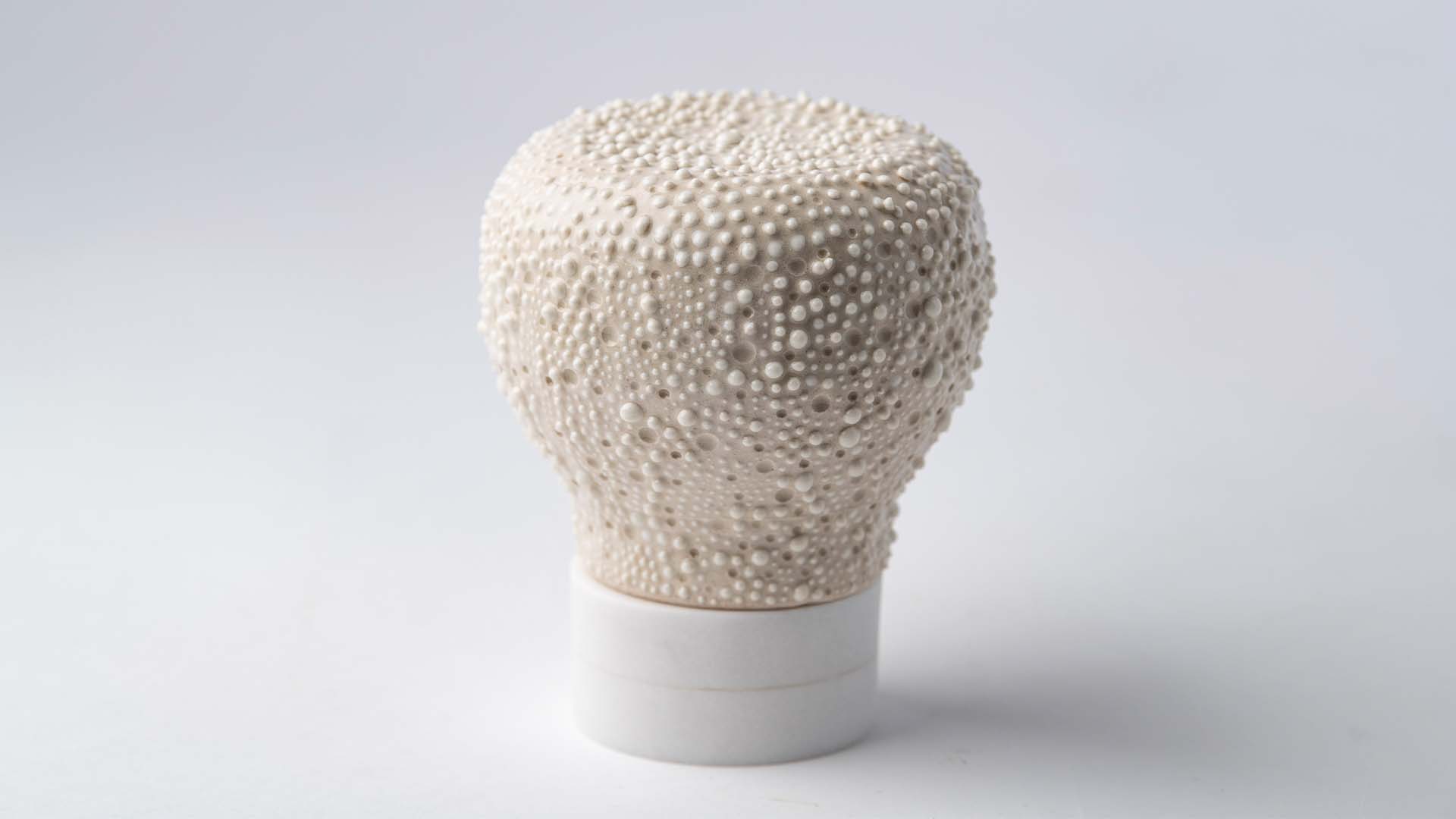 2020 Temporal Reliquaries