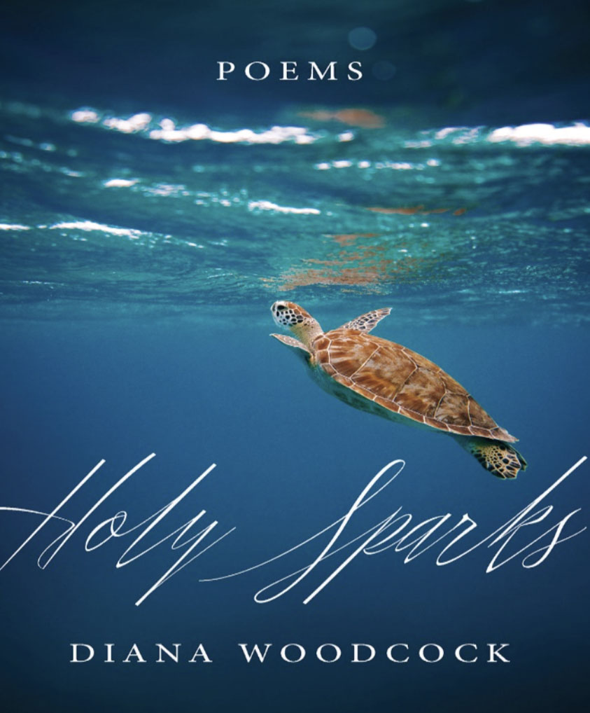 Diana Book Screenshot 2023 05 22 At 12.16.16 Pm 