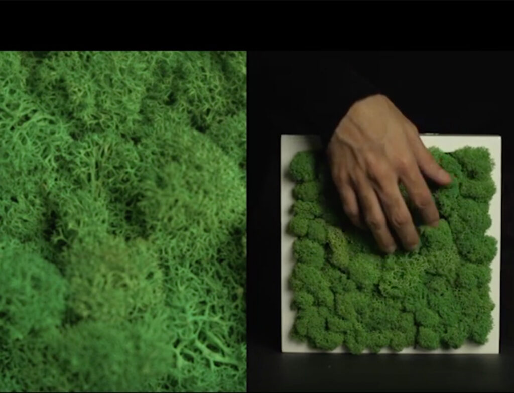 Tactile Materials For Library News