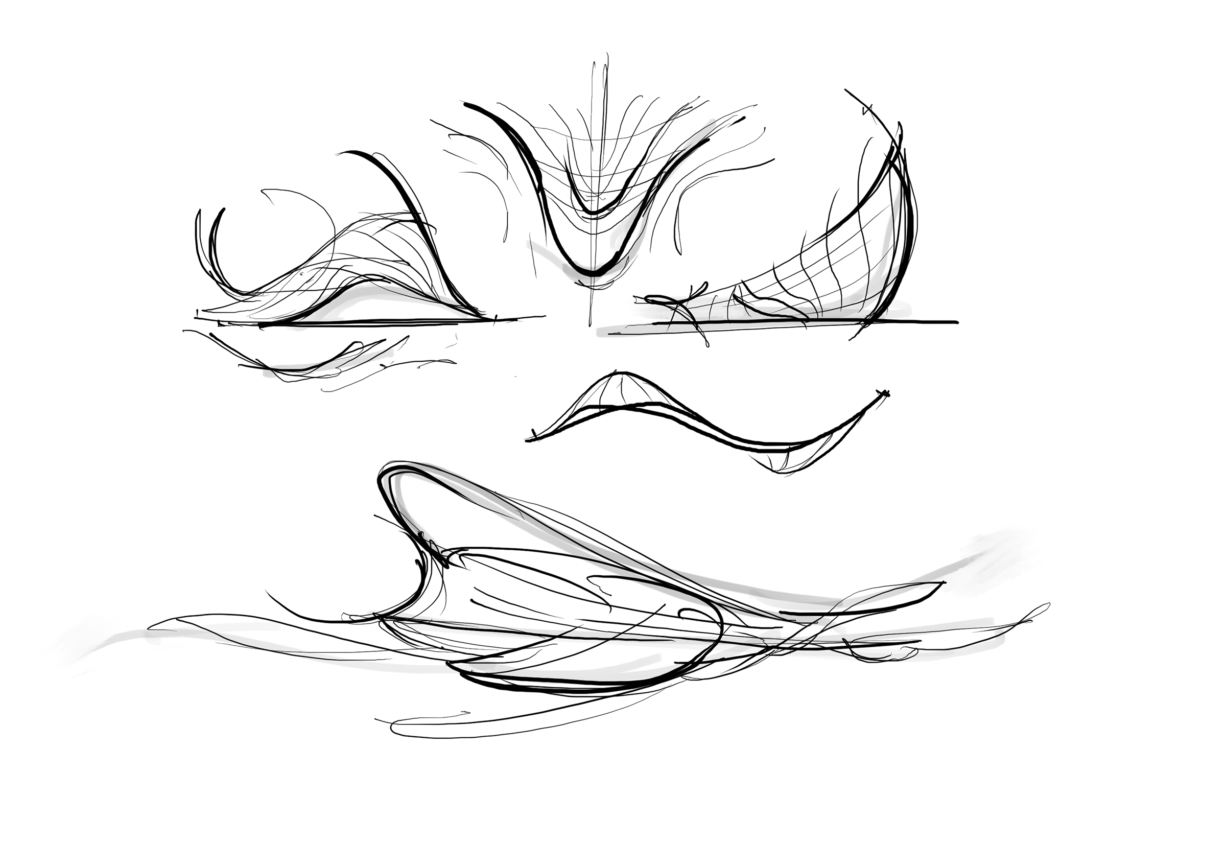 0 Main Image (7)