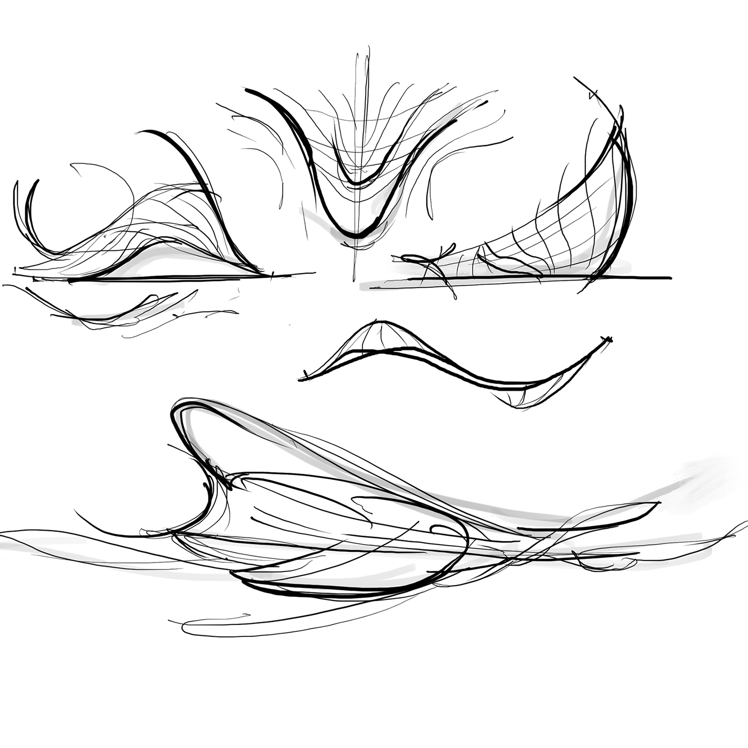 0 Main Image Shahd Id 1500