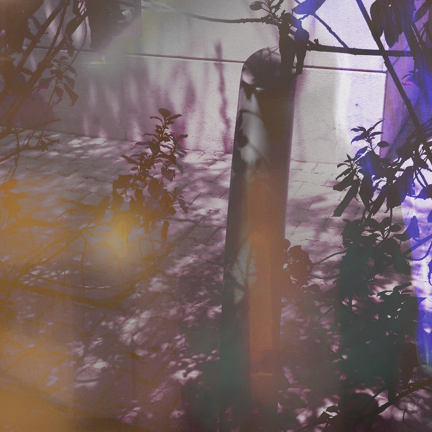 1 Main Image 1500 Maryam Papr