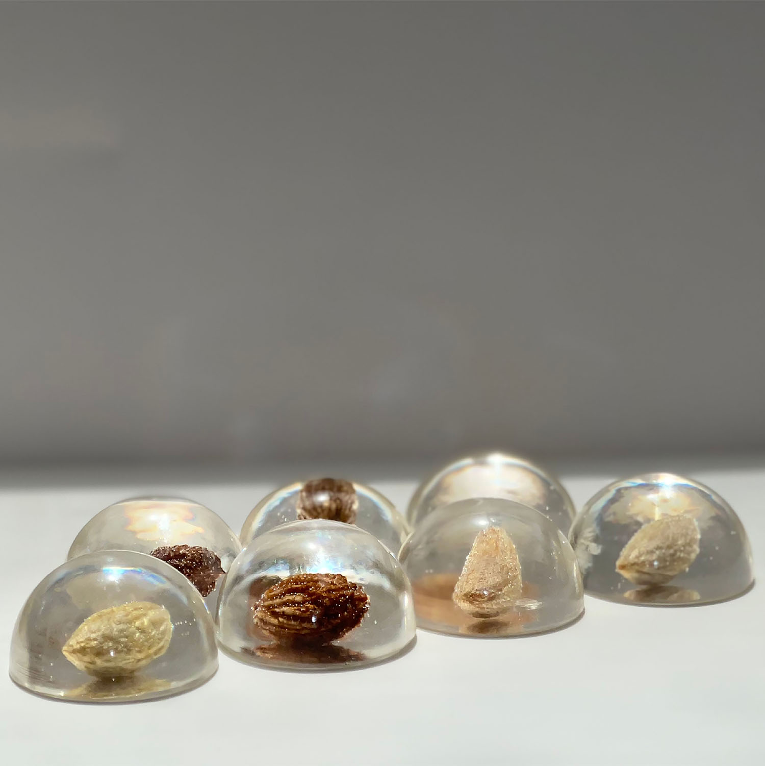 Naima Almajdobah 2024 Mfa Jpg 1500x1500