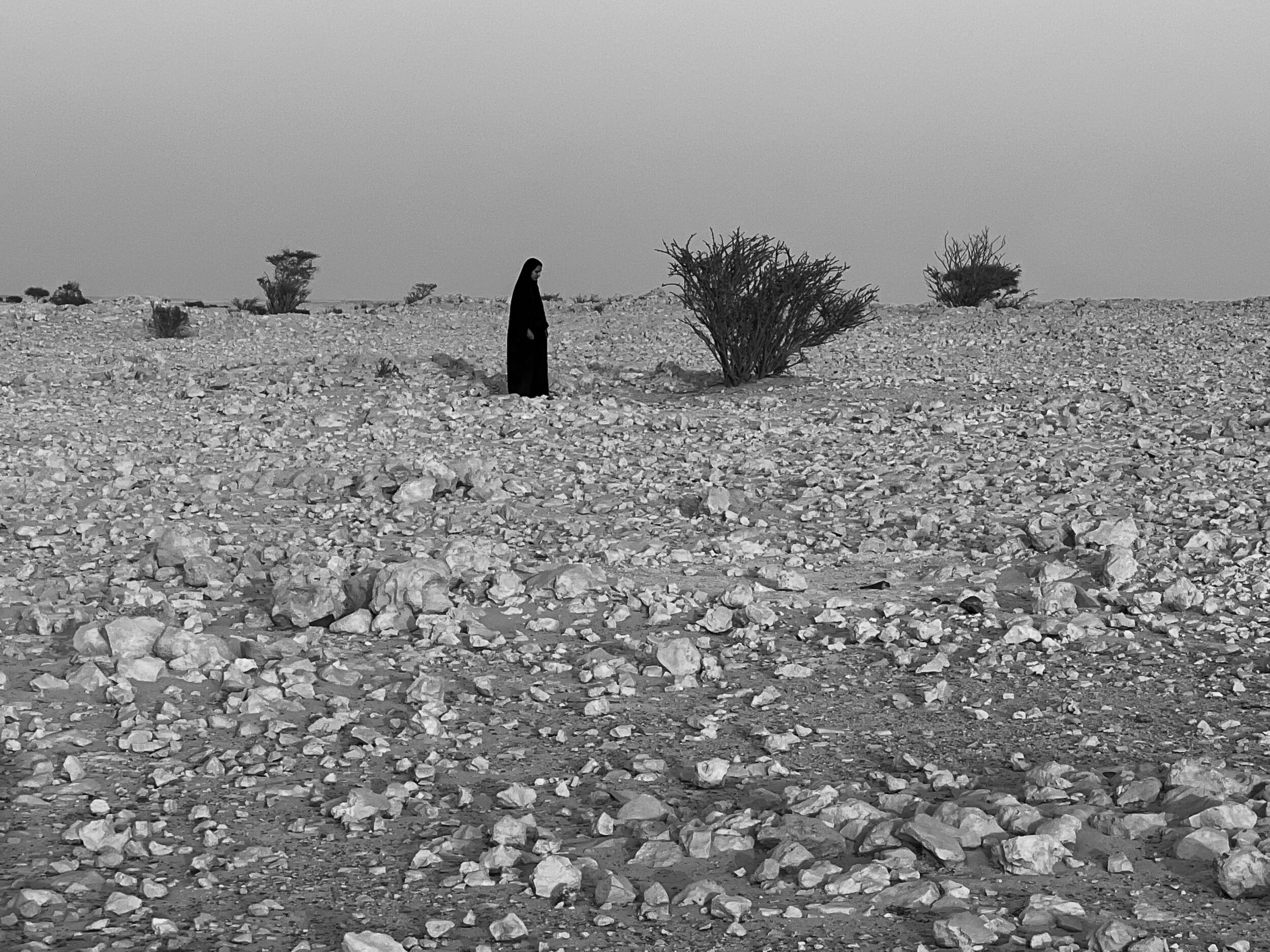 Vcuarts Qatar Image 3