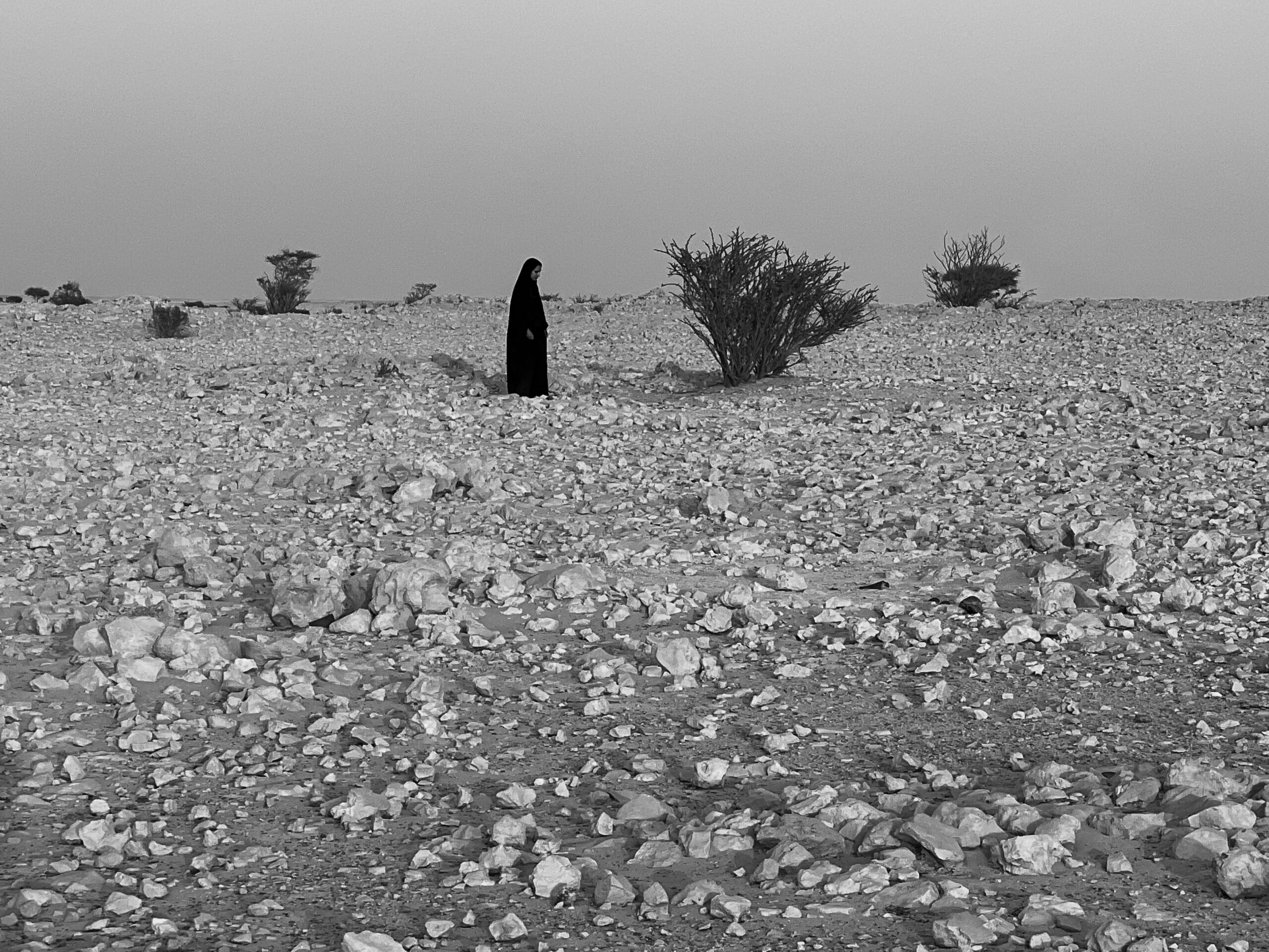Vcuarts Qatar Image 3