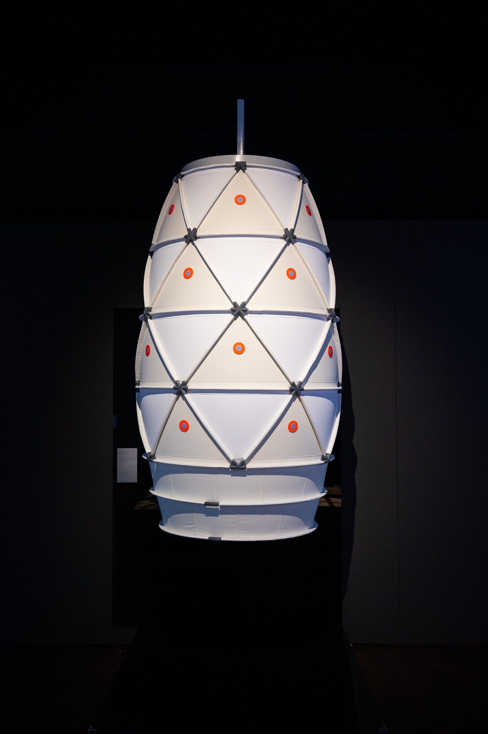 Chrysalis Dean Rossiter